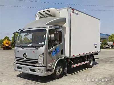 18m³ Shaanxi Automobile Delong Snow Dragon 4.2m refrigerated truck 6T